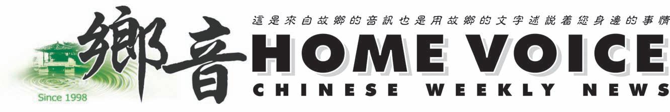 home voice logo